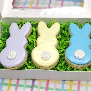 Easter Cookie Box, Easter Gift Box, Easter Basket Gift, Easter Hostess Gift, Easter Cookies, Easter Sugar Cookies, Easter Bunny Cookies