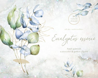 Eucalyptus essence aquarelle clipart ensemble - verdure, vert, bleu, branche, mariage, invitation, design, or, png numérique