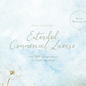 Licencia Comercial Extendida - Conjunto de Ilustraciones