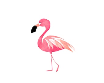 Flamenco Clipart Edición Acuarela
