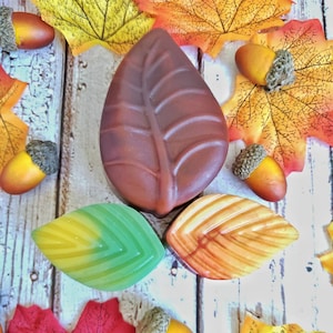 Fall Leaves Soap, Autumn Soap Gift Basket, Autumn Leaves Baby Shower, Housewarming Gift For Couple, Soap Gift Box, Soap Leaves, Cottagecore