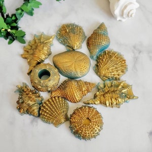 Mydło z muszli, Mydło oceaniczne, Upominki ślubne na plaży, Upominek na baby shower na plaży, Mydło plażowe, Mydła do łazienki dla gości, Prezent dla miłośniczki plaży dla kobiet,