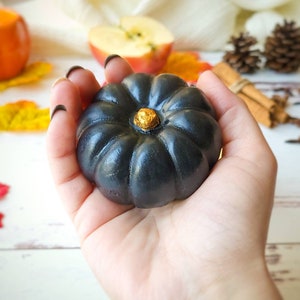 May include: A small black pumpkin with a gold stem. The pumpkin is being held in a person's hand.
