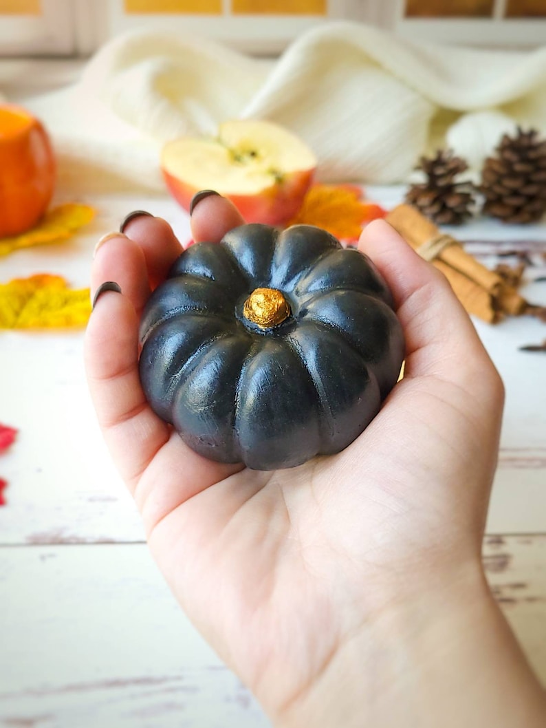 May include: A small black pumpkin with a gold stem. The pumpkin is being held in a person's hand.