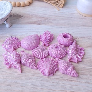 Mydło z muszli, Mydło oceaniczne, Upominki ślubne na plaży, Upominek na baby shower na plaży, Mydło plażowe, Mydła do łazienki dla gości, Prezent dla miłośniczki plaży dla kobiet,