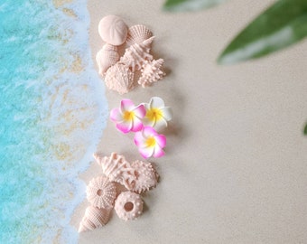 Muschelseife, Ozeanseife, Hochzeitsbevorzugung Strand, Strand Babypartybevorzugung, Strandseife, Gästetoilette, Küsten Badezimmer Dekor, Airbnb Seife