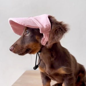 Corduroy Dog Hat | Bucket Hat | Puppy Hat | Dog Visor | Sun Protection Cap | Travel Hat for Dog Cat Pet | Hats for Dogs | Luxury