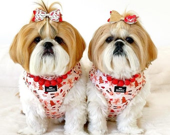 Dog Harness | Paws & Presents Christmas Harness Collection | Puppy Harness | Dog Christmas Present