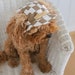 see more listings in the Pet Hat's section