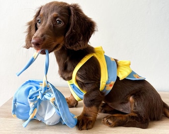 PEQUEÑOS Bikinis de playa para perros y cachorros / Sombrero para perros / Sombrero de cubo / Bikini para gatos y perros, Conjunto de trajes de baño de verano, Traje de baño para perros de moda para mascotas