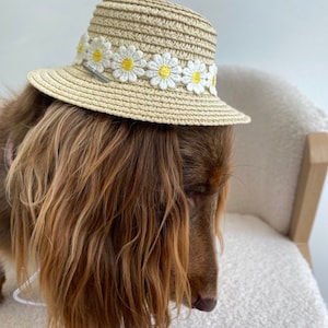 Hund Strohhut | Blumen-Haustier-Eimer-Hut | Welpen Hut | Hunde Visor | Sonnenschutz Cap | Reisehut für Hund Katze Haustier | Mützen für Hunde |