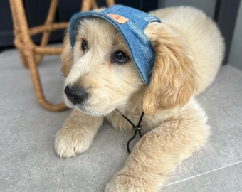 Dog Hat | Bucket Hat | Puppy Hat | Dog Visor | Sun Protection Cap | Travel Hat for Dog Cat Pet | For small breed dogs only