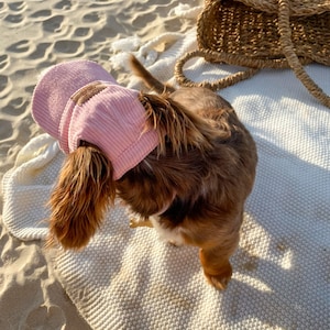 Chapeau pour chien en velours côtelé | Bob | Bonnet pour chiot | Visière pour chien | Casquette de protection solaire | Chapeau de voyage pour chien, chat, animal de compagnie | Chapeaux pour chiens | Luxe