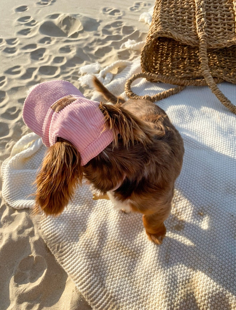 Corduroy Dog Hat Bucket Hat Puppy Hat Dog Visor Sun Protection Cap Travel Hat for Dog Cat Pet Hats for Dogs Luxury image 1
