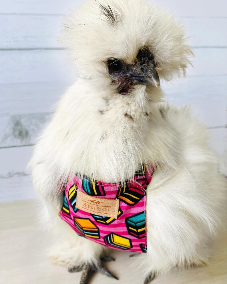 Handmade Chicken Diaper Silkie Chicken Pet Diaper Outfit Etsy