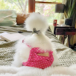 Pink Chicken, Duck & Bird Diaper | Nappy | Chicken outfits Clothes | Pink Polka | Indoor Chicken | Sick Chicken Rooster Hen