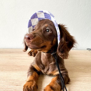 Dog Hat | Bucket Hat | Puppy Hat | Dog Visor | Sun Protection Cap | Travel Hat for Dog Cat Pet | Hats Dogs | For small breed dogs