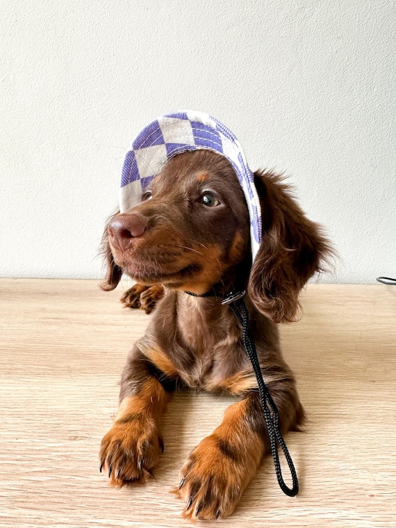 Dog Hat Bucket Hat Puppy Hat Dog Visor Sun Protection Cap Travel