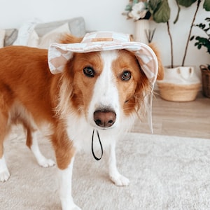 Dog Hat | Bucket Hat | Puppy Hat | Dog Visor | Sun Protection Cap | Travel Hat for Dog Cat Pet | Hats for Dogs XS-XL Sizing for small large