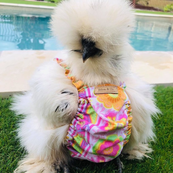 Pet Chicken Duck Diaper Small Medium & Large | Nappy/Nappie | Clothes | Outfit | Apparel