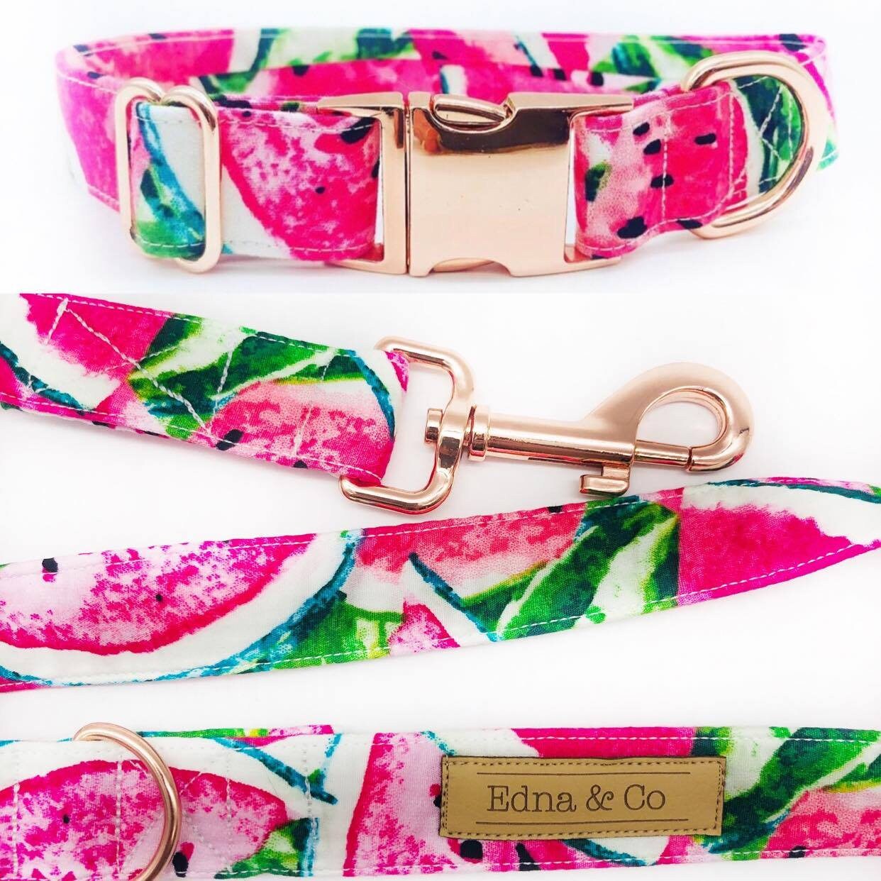 Dog / Puppy Collar and Lead Set Etsy