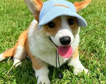 Corduroy Dog Hat | Bucket Hat | Puppy Hat | Dog Visor | Sun Protection Cap | Travel Hat for Dog Cat Pet | Hats for Dogs | Luxury