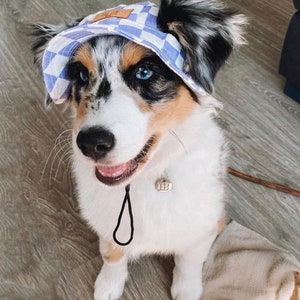 Small Dog Hat | Bucket Hat | Puppy Hat | Dog Visor | Sun Protection Cap | Travel Hat for Dog Cat Pet | For small breed dogs only