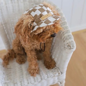 Kleiner Dackel Hund | Fischerhut | Welpen Hut | Hunde Visor | Sonnenschutz Cap | Reisehut für Hund Katze Haustier | Für kleine Hunderassen