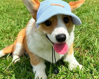 Corduroy Dog Hat | Bucket Hat | Puppy Hat | Dog Visor | Sun Protection Cap | Travel Hat for Dog Cat Pet | Hats for Dogs | Luxury