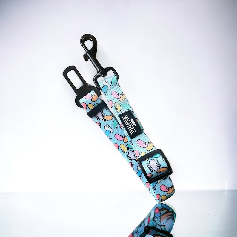 Puede incluir: Una correa para perro azul y blanca con un patr&oacute;n de gominolas de colores y el texto "Cool Beans" y "Bins & Co.". La correa tiene un clip negro y un lazo de metal negro para sujetar al collar.