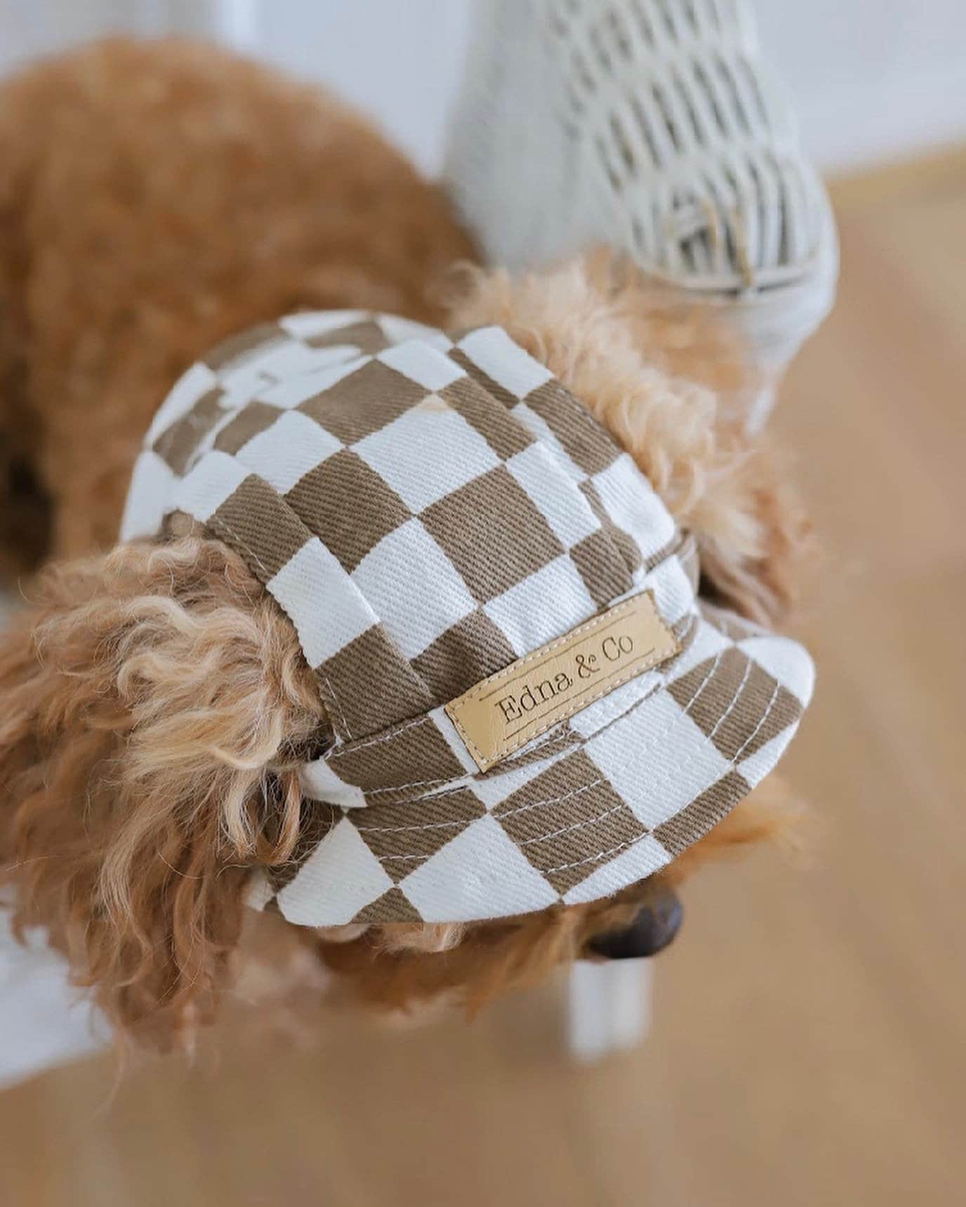 Dog Hat | Bucket Hat | Puppy Hat | Dog Visor | Sun Protection Cap | Travel Hat for Dog Cat Pet | Hats for Dogs