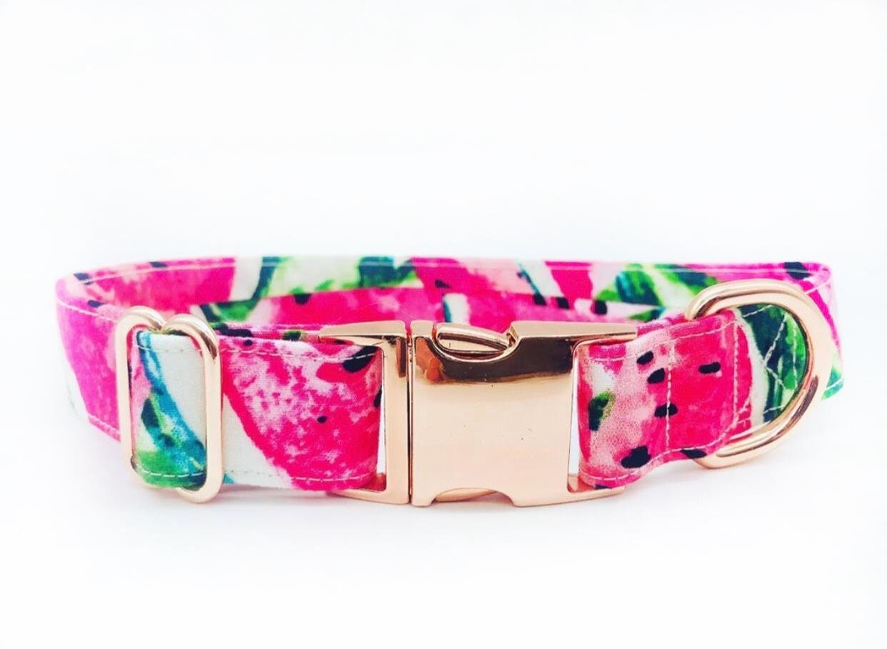 Dog / Puppy Collar and Lead Set Etsy