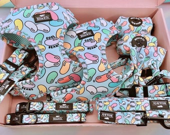 Collar ajustable para perro / Collar para perra / Collar para perro / Collar de neopreno para cachorro / Accesorios para mascotas