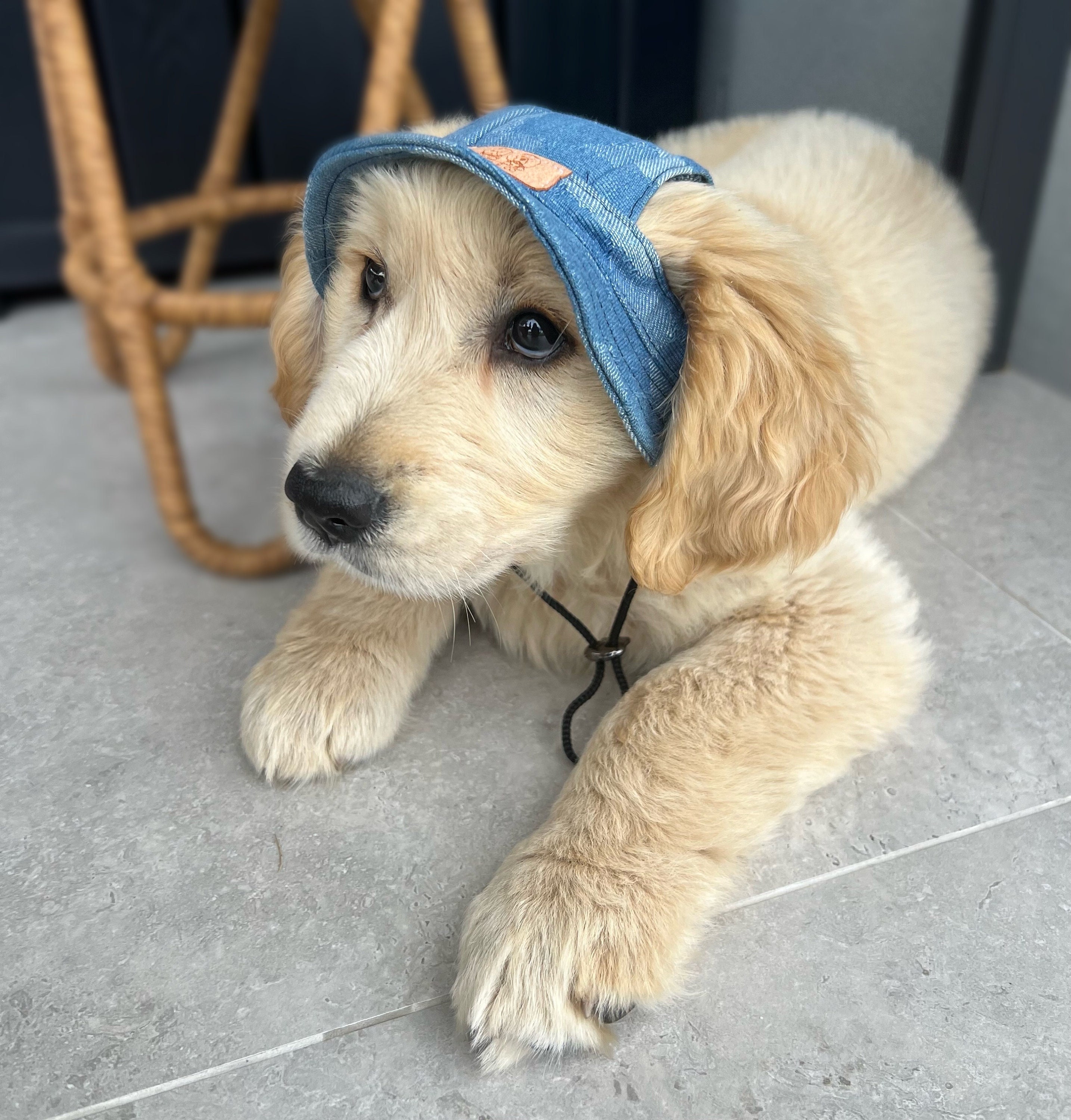 Dog Hat | Bucket Hat | Puppy Hat | Dog Visor | Sun Protection Cap