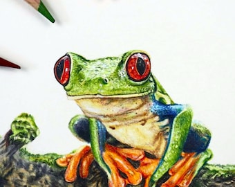 アマガエルの鉛筆画 - Etsy 日本