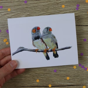 Wenskaart zebravink / verjaardagskaart / handgetekende illustratie