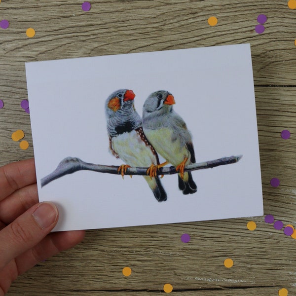 Zebra Finch Greeting Card /  birthday card / hand drawn illustration