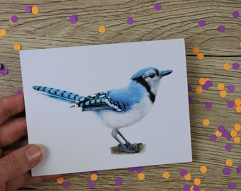 Blue Jay Bedding Etsy Blue Jay Bedding Etsy