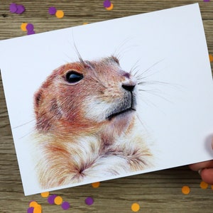 Prairie Dog card / hand drawn illustration / greeting card / blank inside