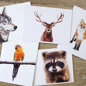 Boskaartverkoop - wenskaarten wolf, hert, wasbeer, vos en papegaai / verjaardagskaart / handgetekende illustratie / kaart