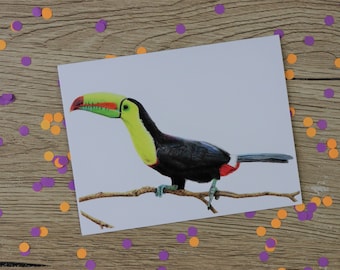 Toucan card / birds of paradise / birthday card / wildlife card / hand drawn illustration / card / blank inside