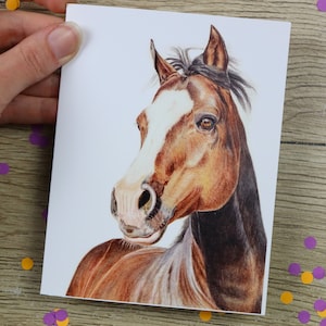 Grußkarte Pferd / Handgezeichnete Illustration / Geburtstagskarte / Grußkarte / innen blanko