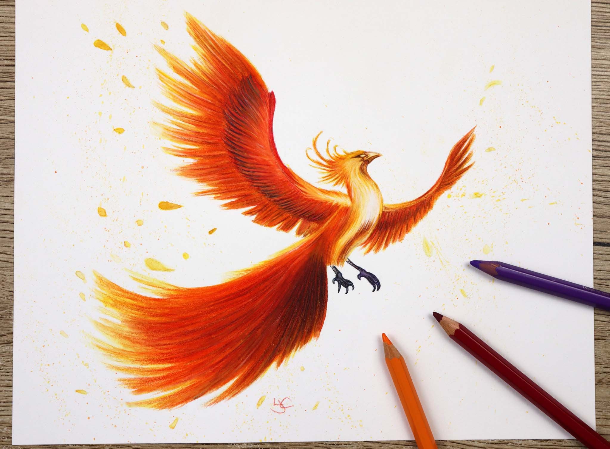 油絵  絵画 【フェニックス】 フェニックス水彩画ポスター フェニックス鳥アートプリント 火の鳥