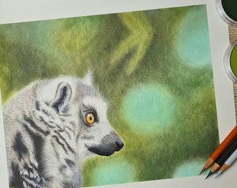 Lemur Original Colour Pencil Art / Lemur art