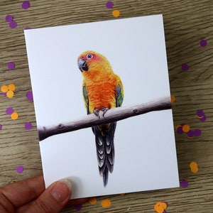 Parrot Greeting Card: Hand Drawn Color Pencil Art
