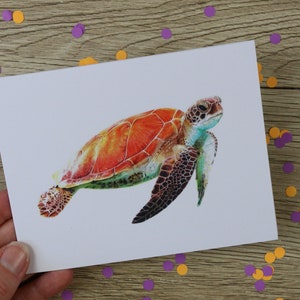 Schildpadkaart / wenskaart / blanco binnenkant / schildpad / verjaardagskaart / kaart