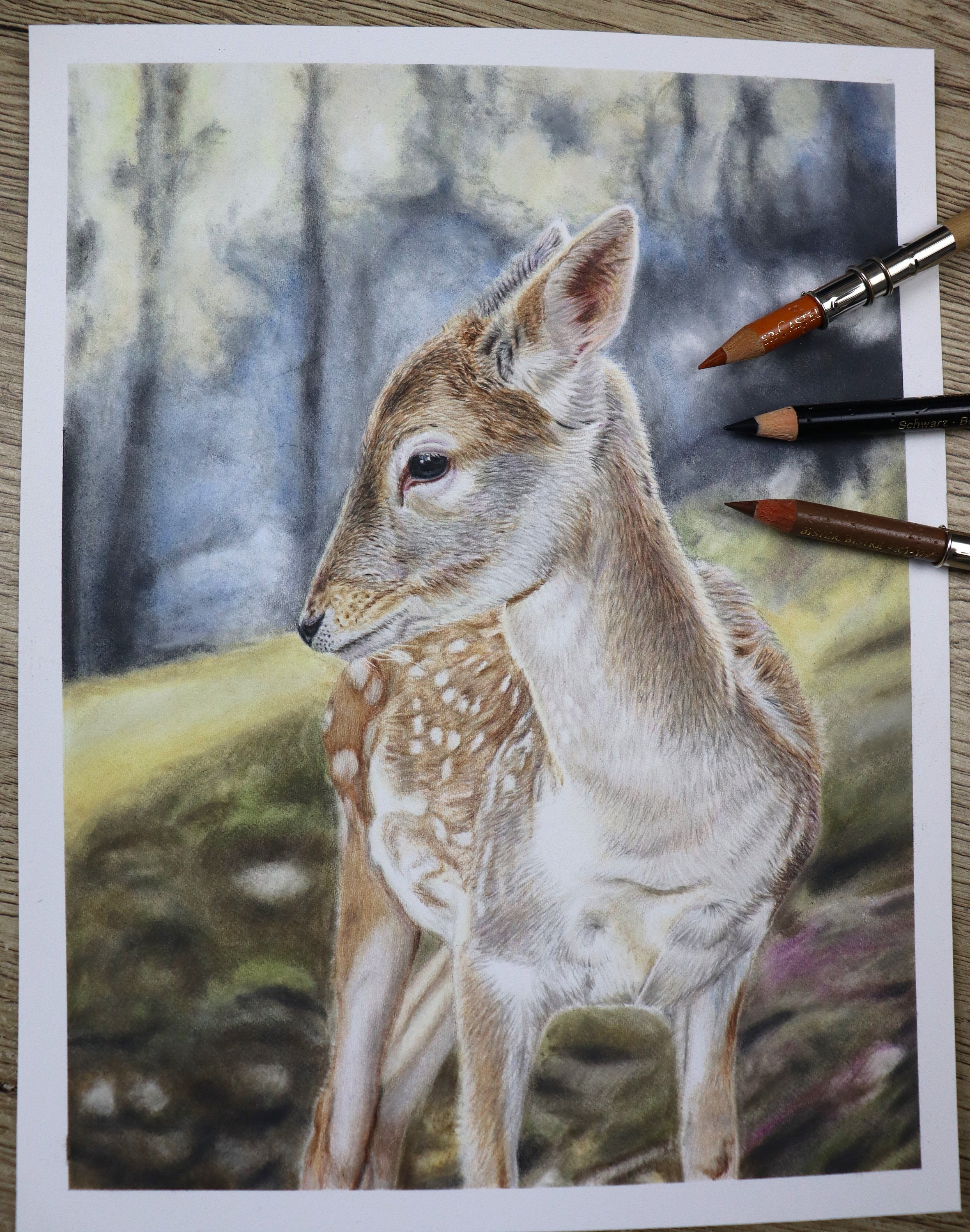 オリジナルの鹿のイラスト：色鉛筆画、野生動物アート - Etsy 日本