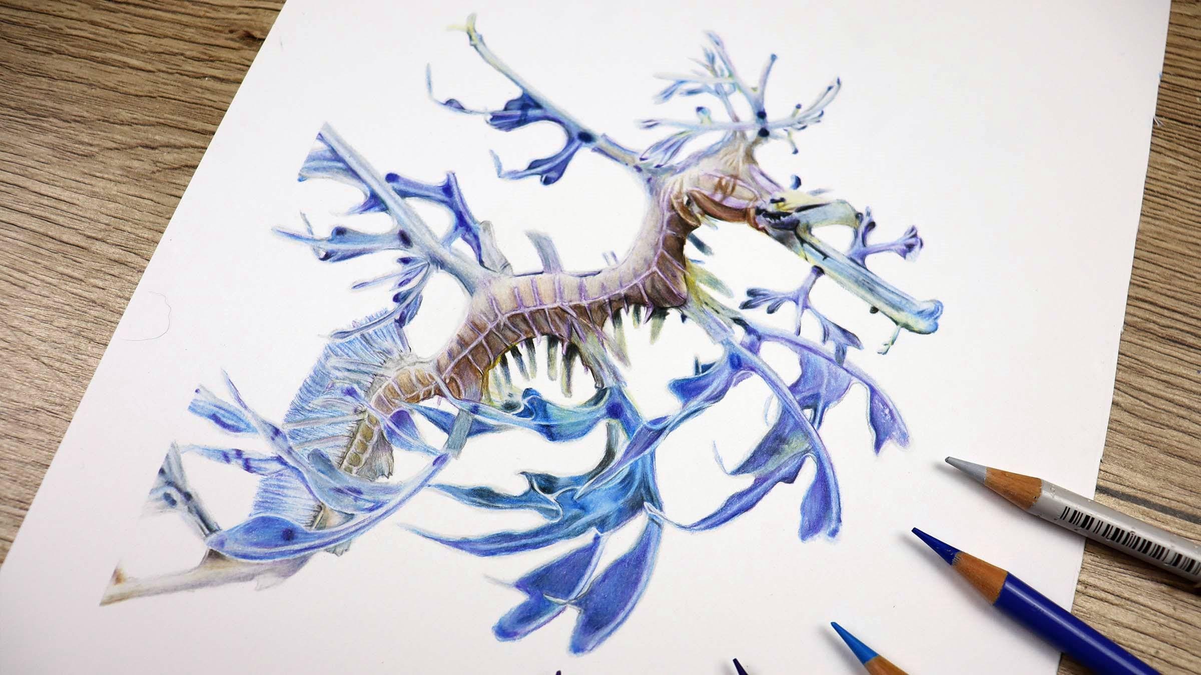 リーフィーシードラゴンオリジナルカラー鉛筆イラスト