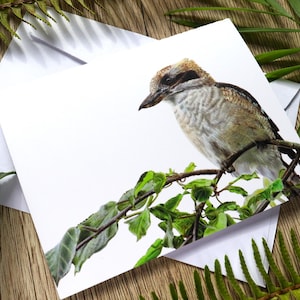 Kookaburra Greeting Card – Colour Pencil Illustration – Blank Inside – 118 x 140mm – Australian Bird Art Card with Envelope