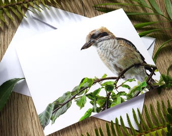 Op de afbeelding: Een wenskaart met een gedetailleerde illustratie van een kookaburra vogel die op een bladrijke tak zit. De kaart staat tegen een witte achtergrond, met een witte envelop en is omgeven door groene bladeren op een houten oppervlak.